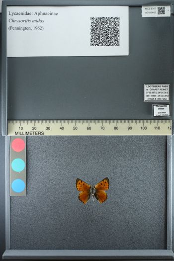 Media type: image;   Entomology 185442